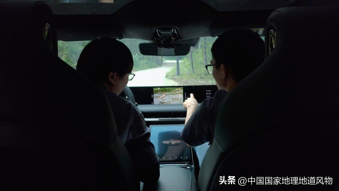 涓浗绉﹀箔绁炵鐗╃,鍙戠幇鐝嶇█鐗╃涓浗绉﹀箔