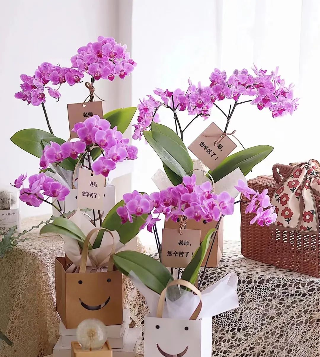 那些没说出口的话就留在心里,那些没说出口的话就藏在心里吧