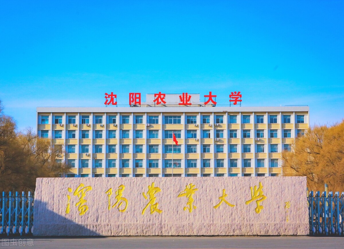 高考165分怎么提高,2022高考分差一分能选本科吗