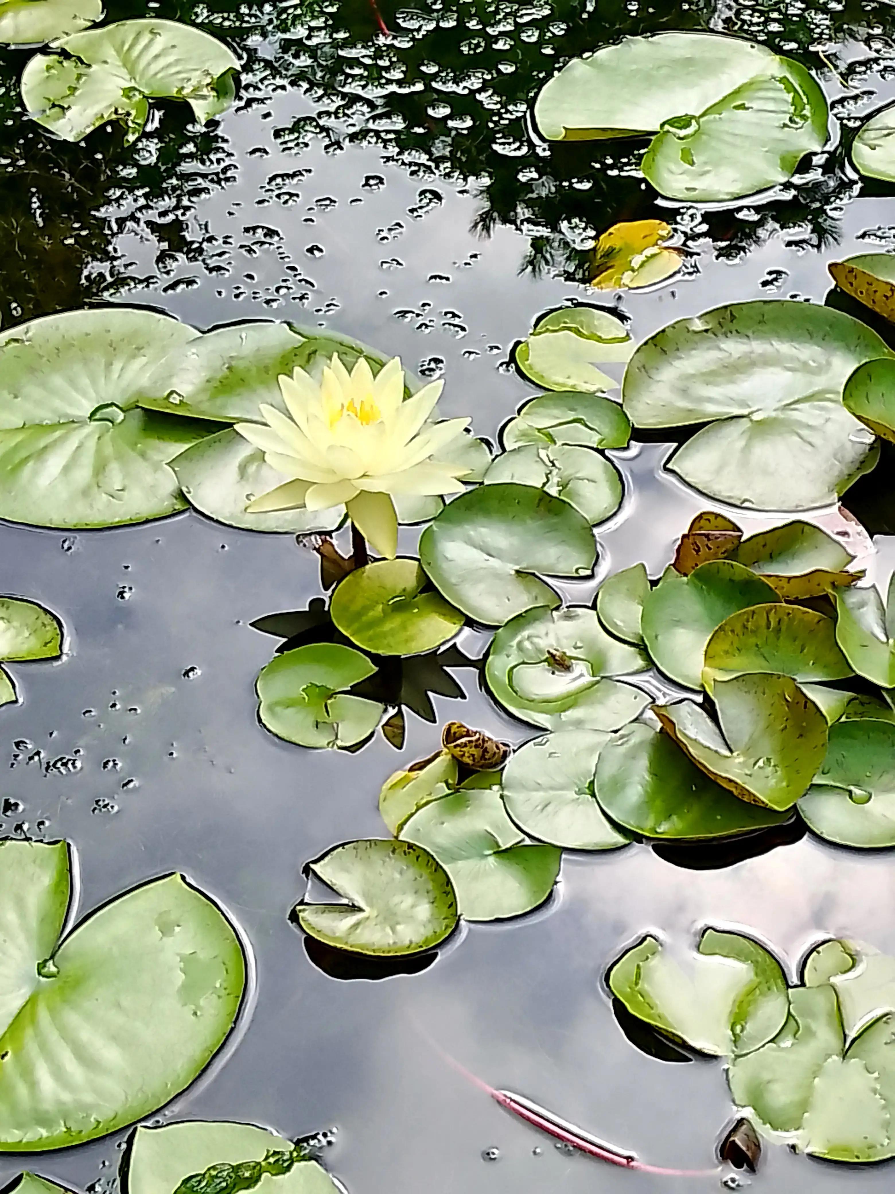 孤独寂寞随笔100字,一个人很寂寞随笔