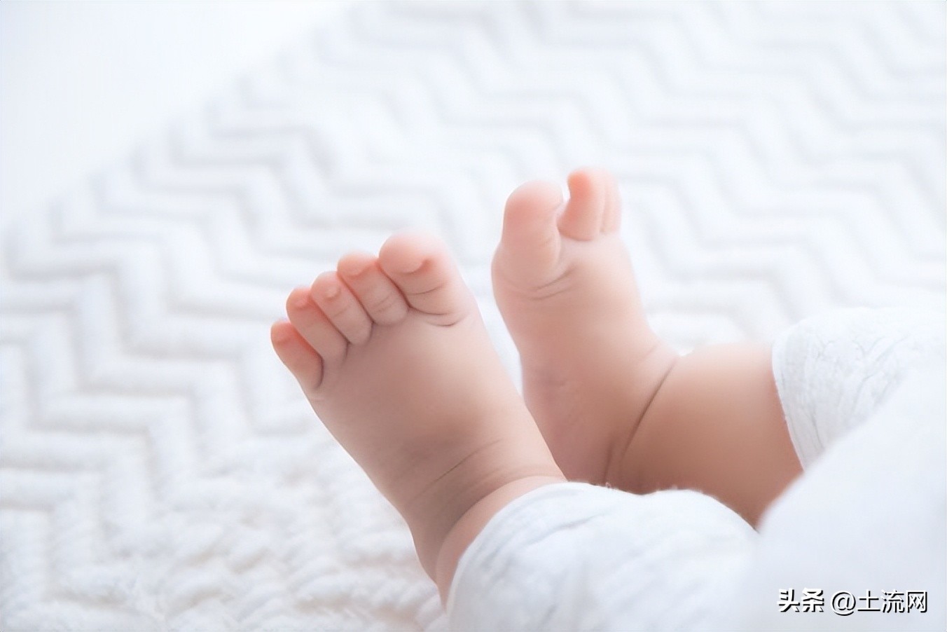 三胎国家补贴从什么时候开始,2022年河北省三胎补贴价格表