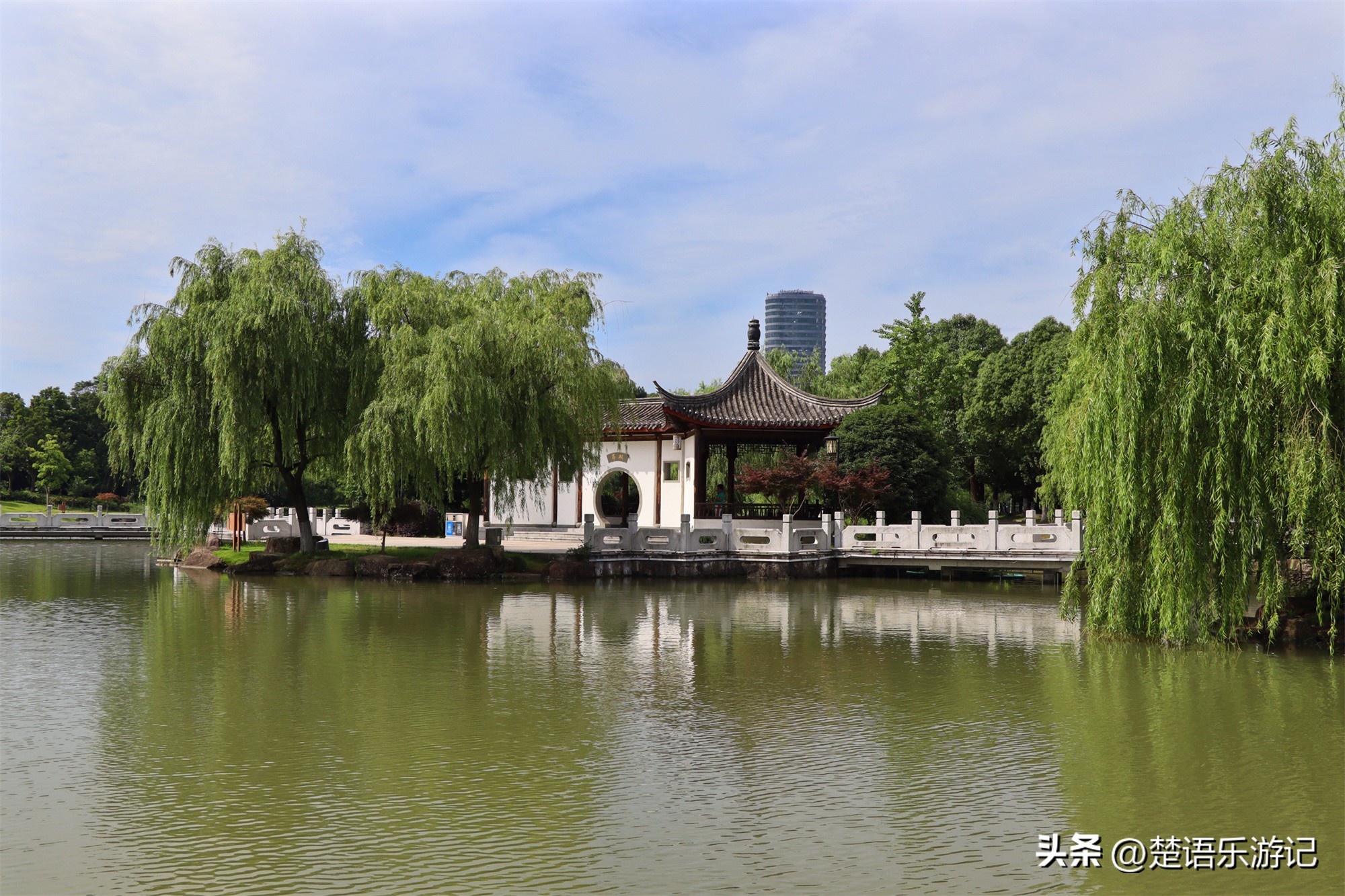宁波附近向日葵花海在哪里,宁波向日葵花海打卡网红地