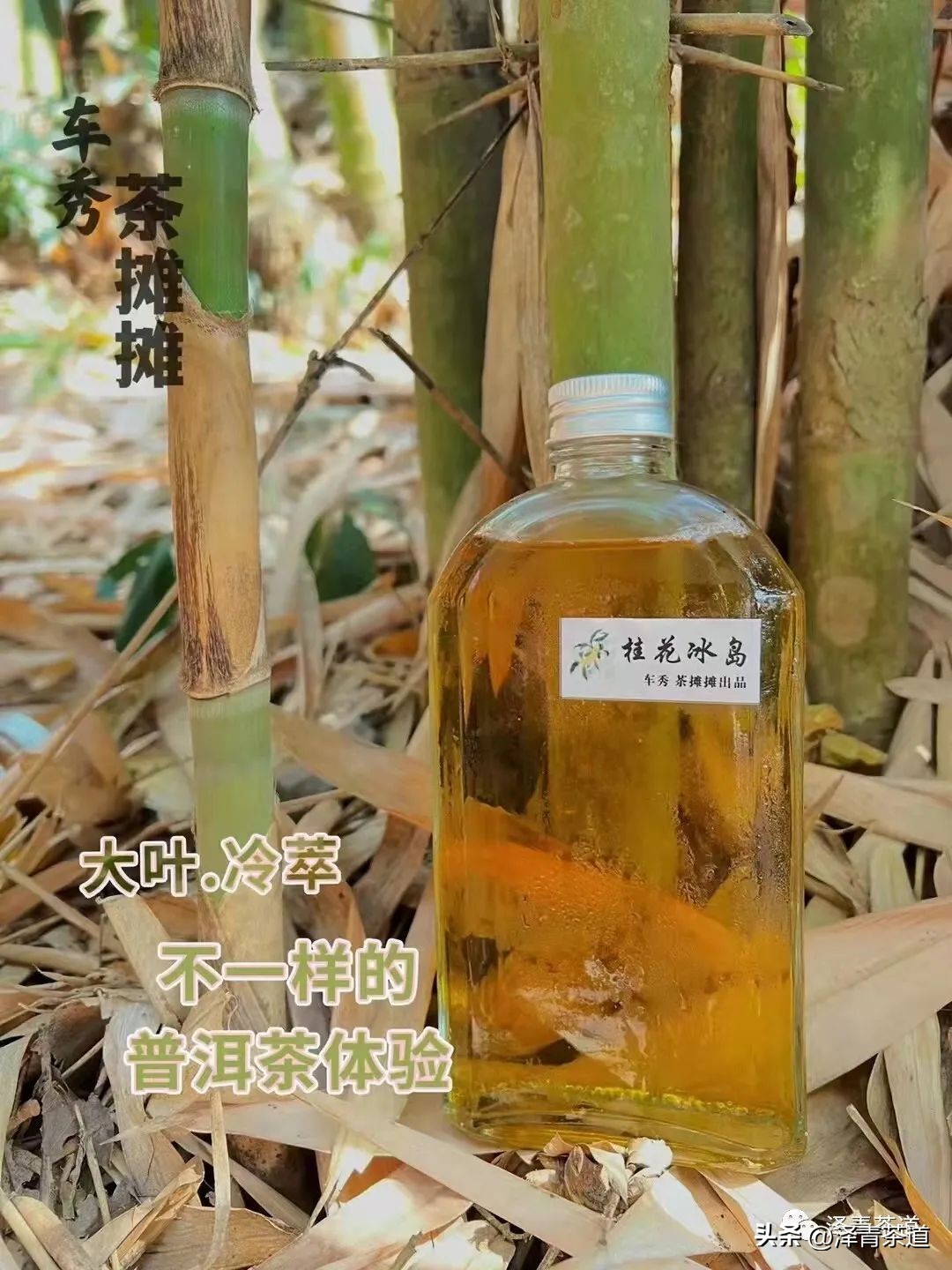 伏天喝什么养生茶最好喝,泡好一杯茶安享三伏天