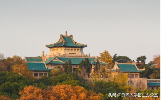 稀缺！在这一领域，武汉大学达到“世界级”水平，全球不足1%！