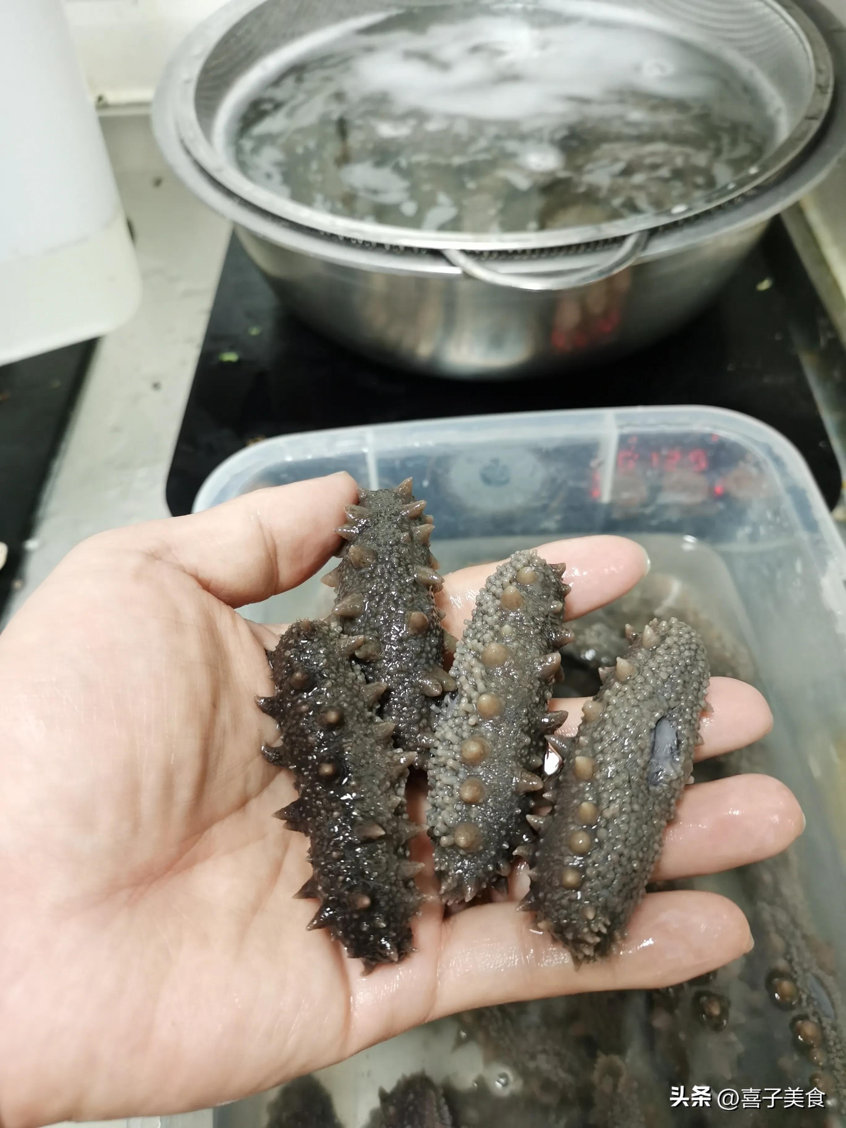 海参的正确泡发方法和时间,海参泡发的正确方法你知道吗