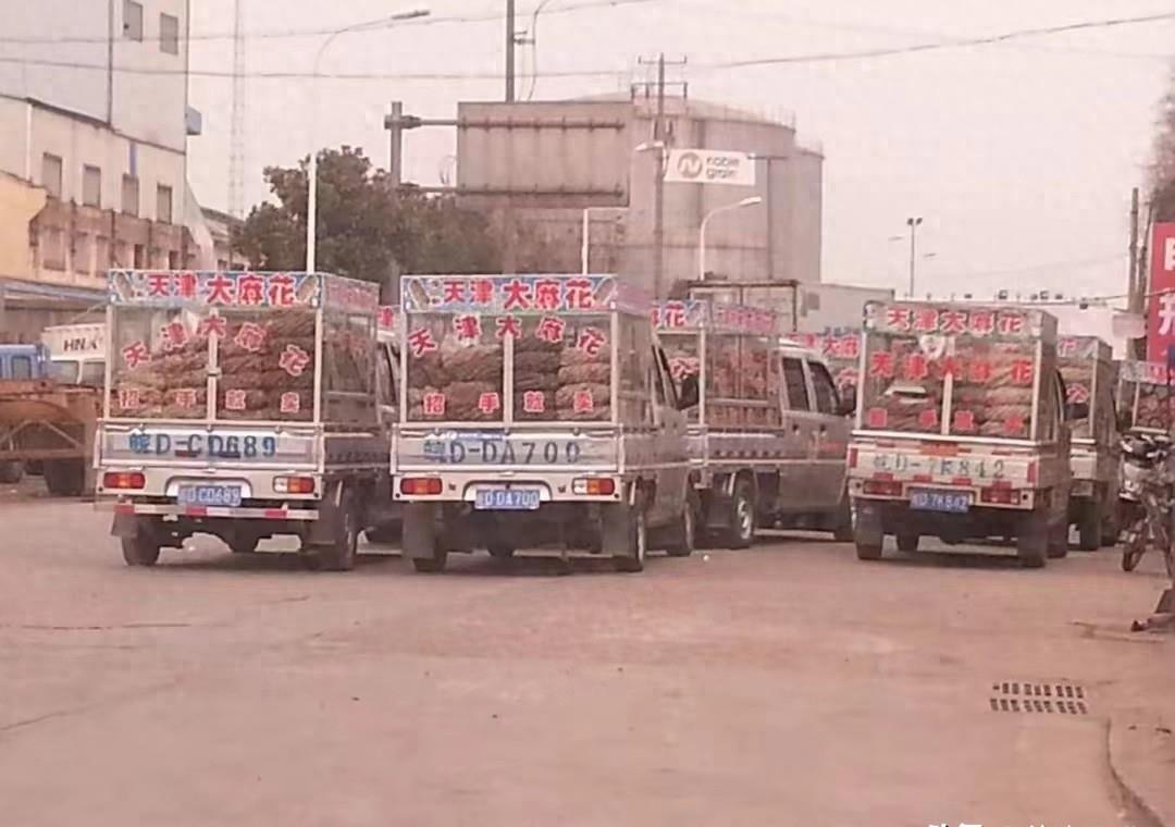 天津大麻花的来龙去脉,天津大麻花曝光视频