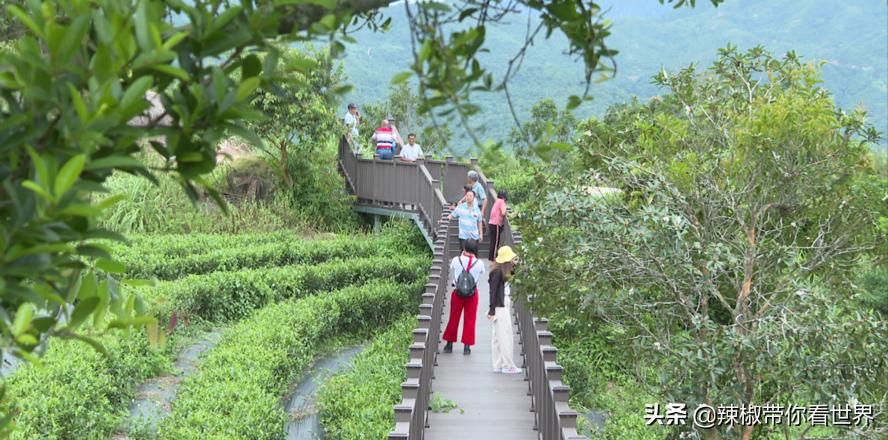 海岸线：邂逅*江阳**——感受这座慢节奏小城文化底蕴感悟人文之美
