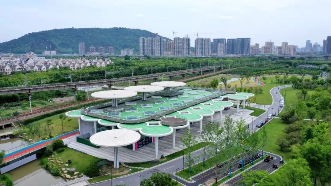 杭州临平粉黛乱子草花海地址,杭州临平30余亩粉黛花海梦幻上线