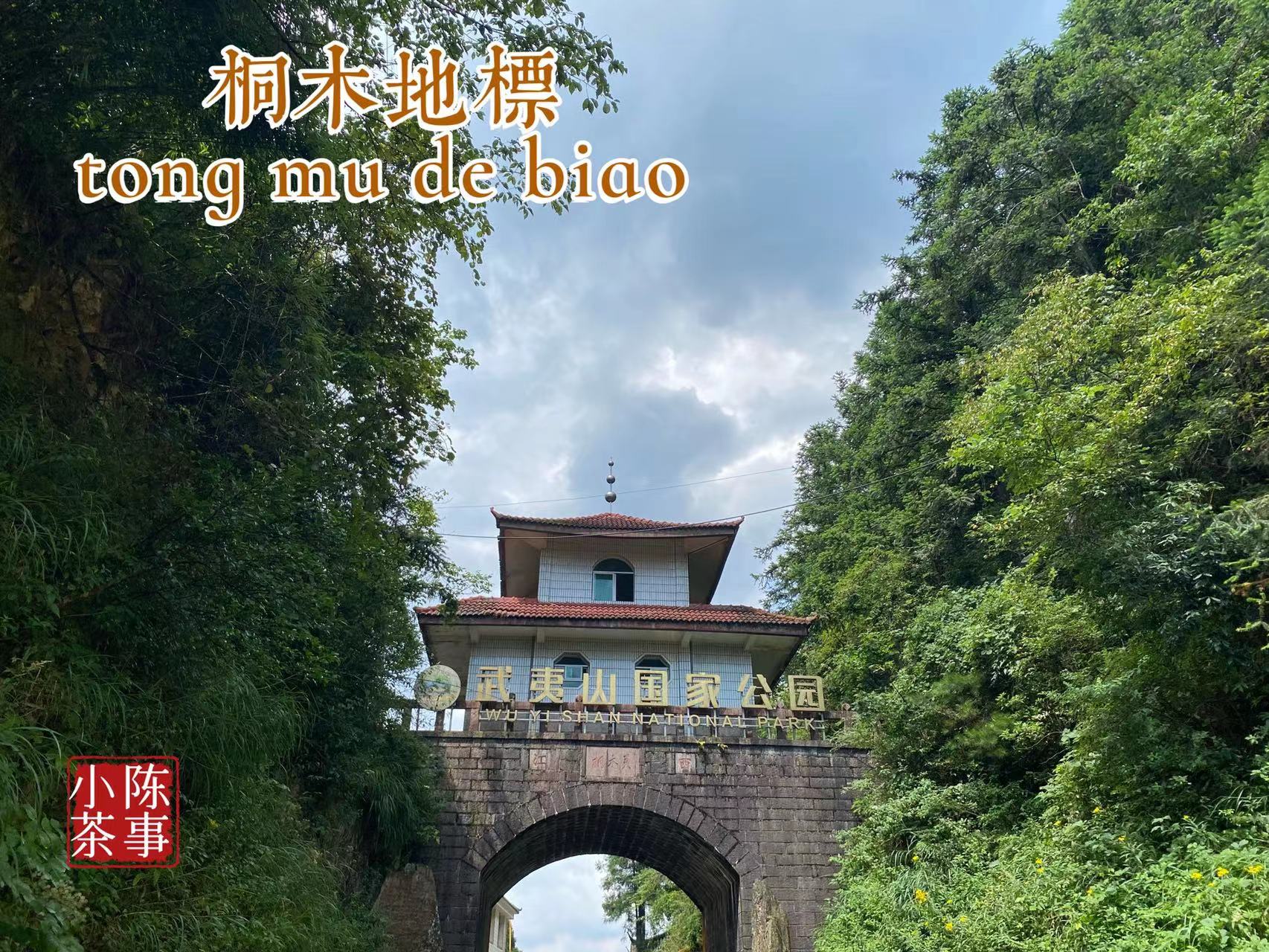 金骏眉武夷红茶大红袍的区别,大红袍不是红茶安吉白茶不是白茶