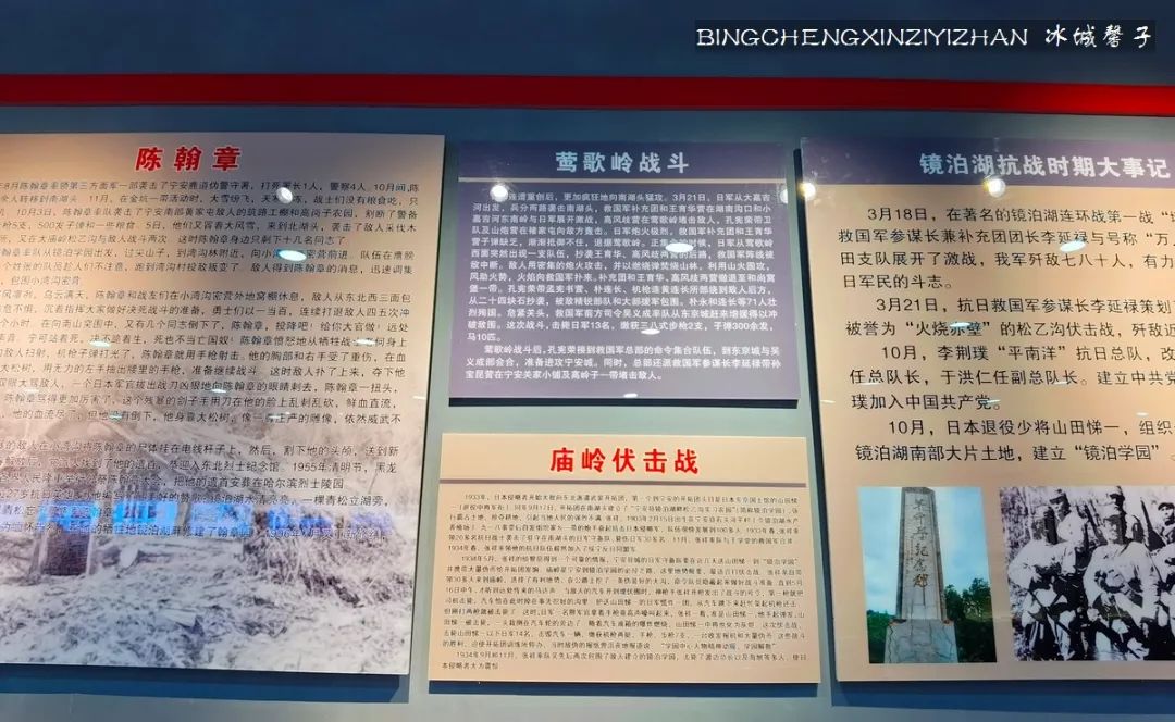 火山口国家森林公园与地下森林,清凉度夏探秘地下森林