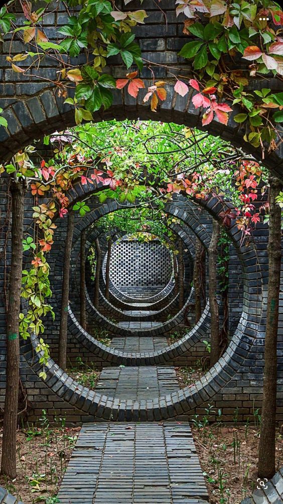 又到红叶观赏时刻,赏红叶十大绝佳去处