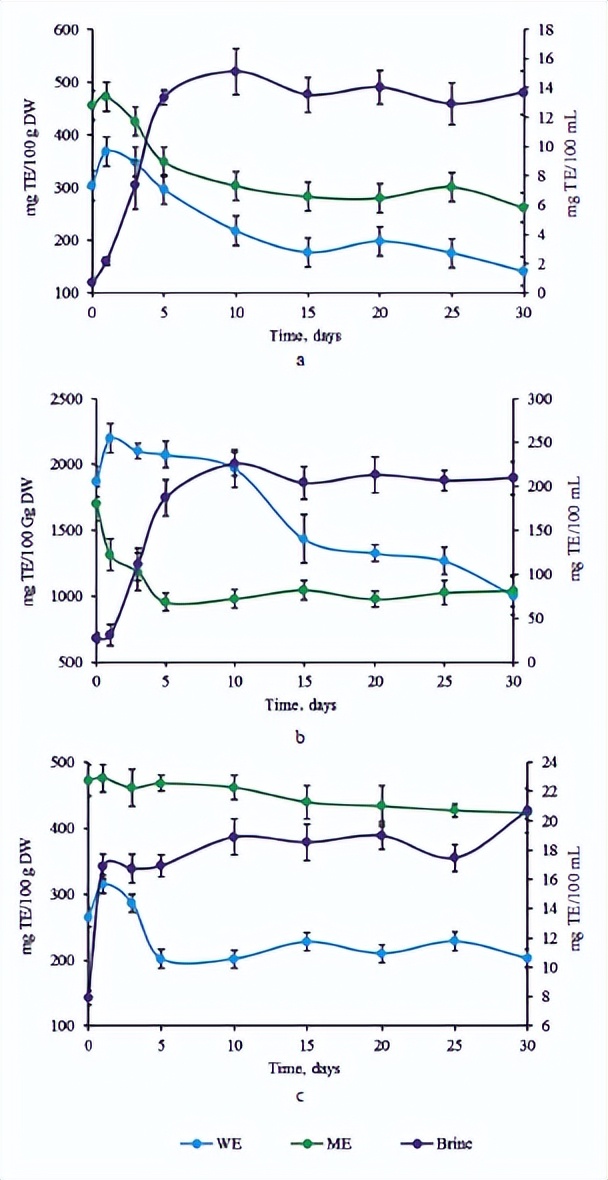 大白菜乳酸菌发酵,白甘蓝与紫甘蓝