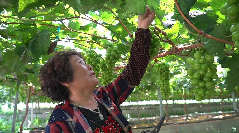 因“农”而生向“农”而兴看这里20年的精彩蝶变