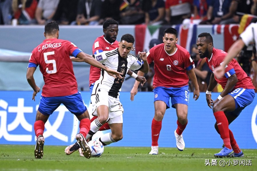 世界杯32支球队全家福,世界杯集锦24