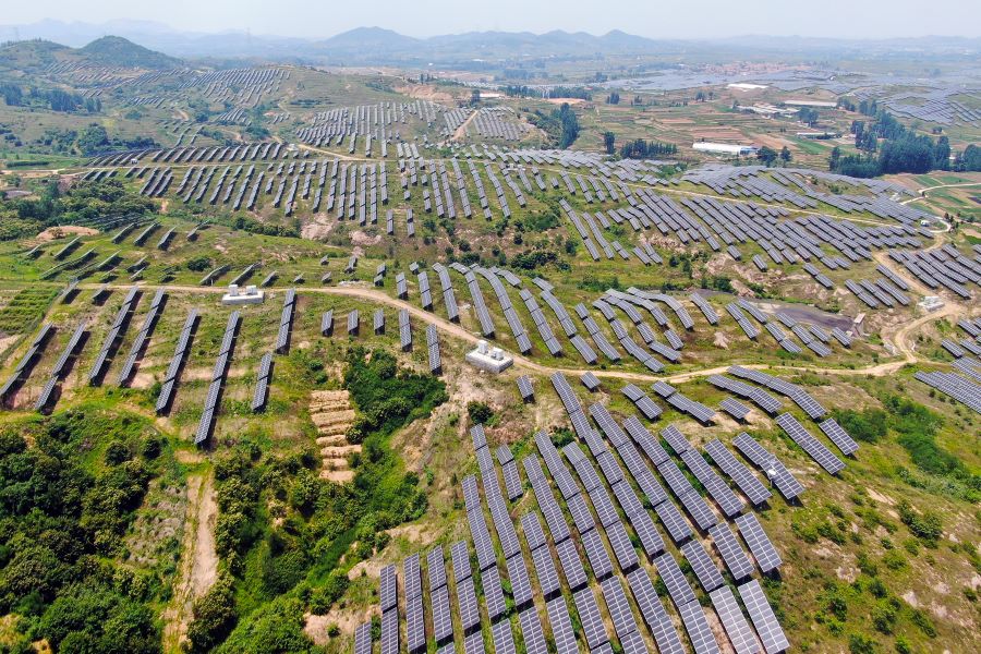 刚躲过做空者的袭击，瑞能股价又因收入不及预期而大跌