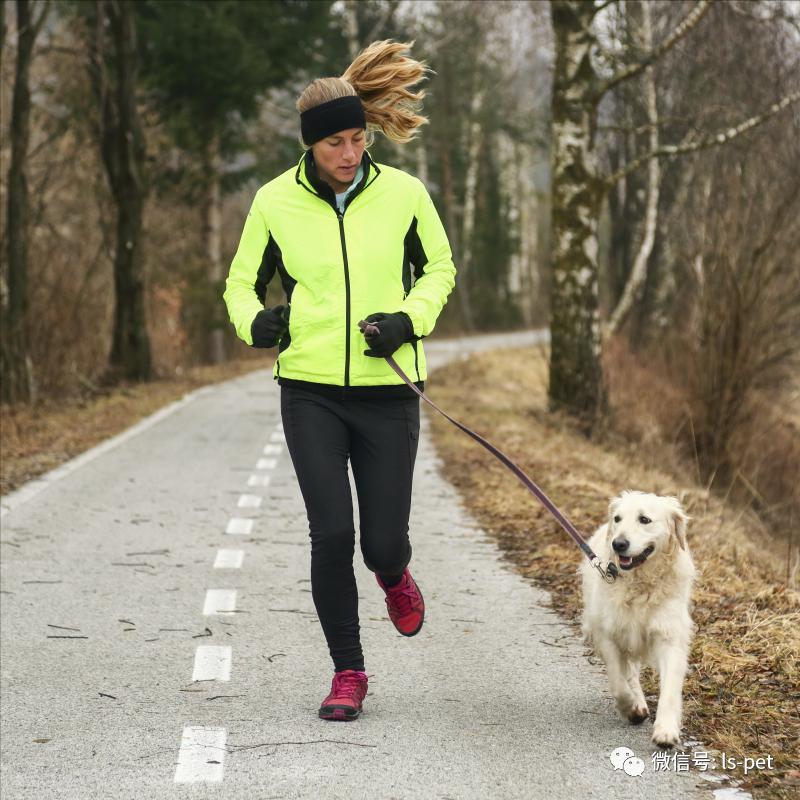 养狗的好处和坏处共9篇,养狗对抑郁症有什么好处和坏处