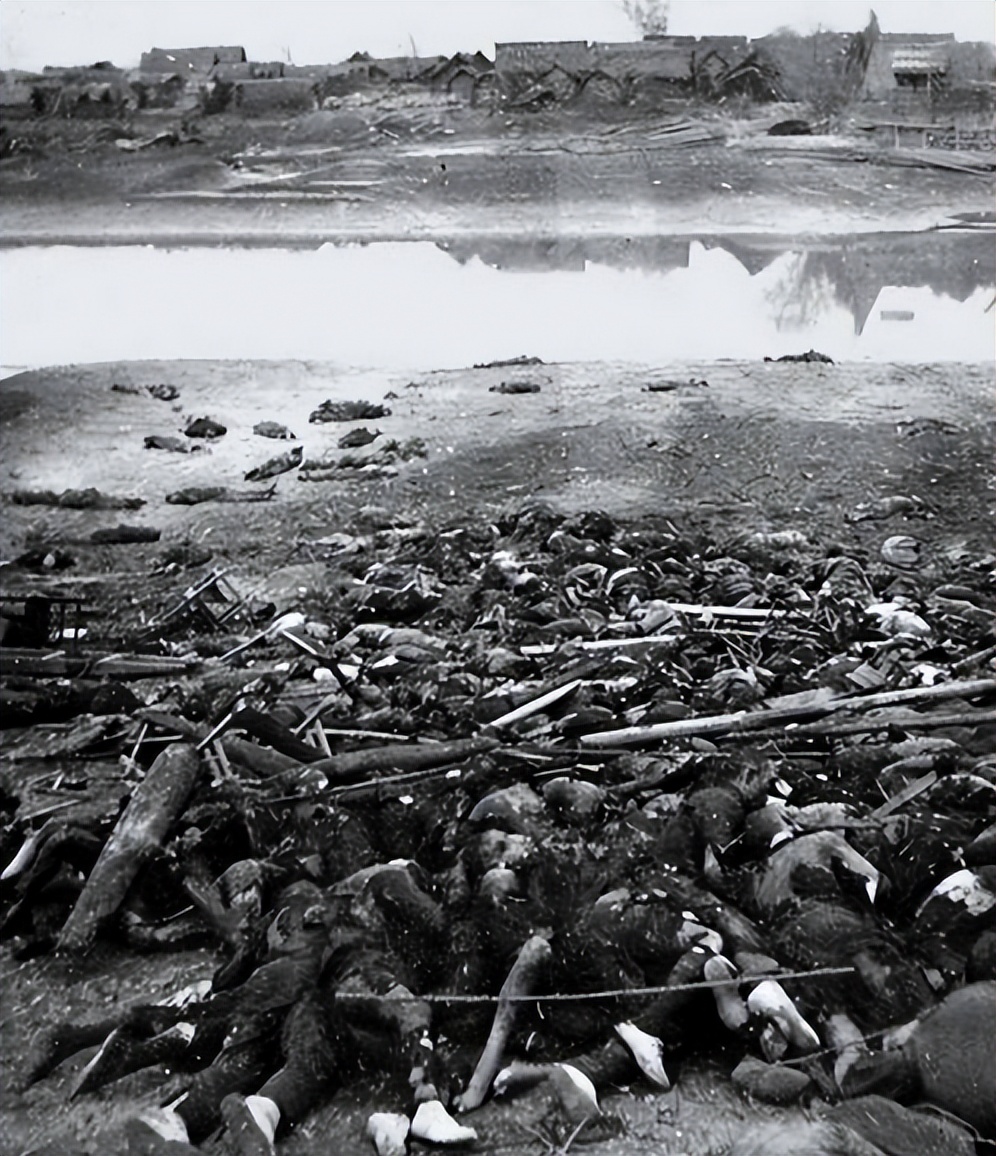 七七事变不可忘却的历史,七七事变以史为鉴