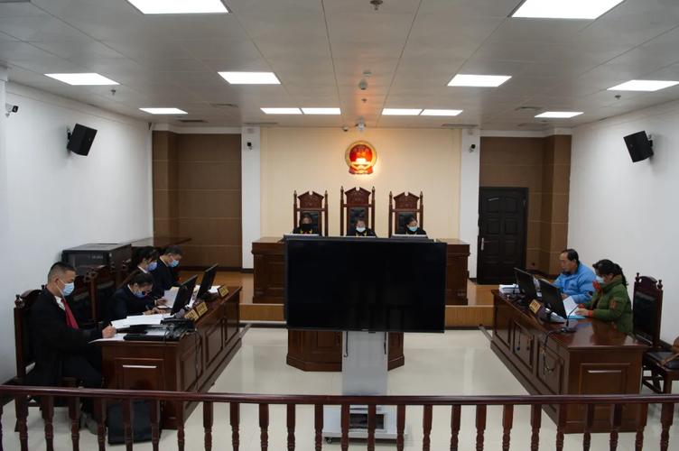 欺诈骗取国家赔偿案例,恶意骗取赔偿案例