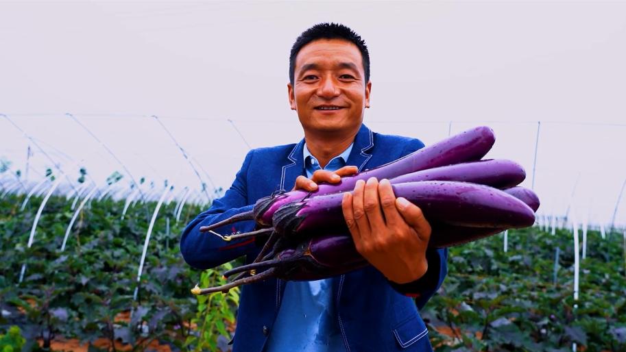 永寿：做好“土”文章打好“特”品牌