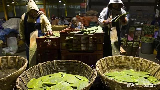 奇奇怪怪可可爱爱语录集,世界奇奇怪怪而你可可爱爱什么梗