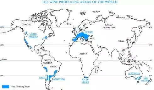 分享红酒养生小妙招,喝红酒养生的正确喝法