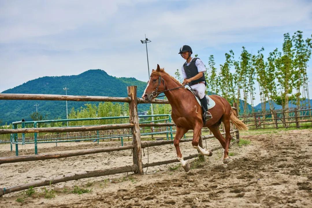 安吉慢谷洋房最新信息,湖州安吉慢谷