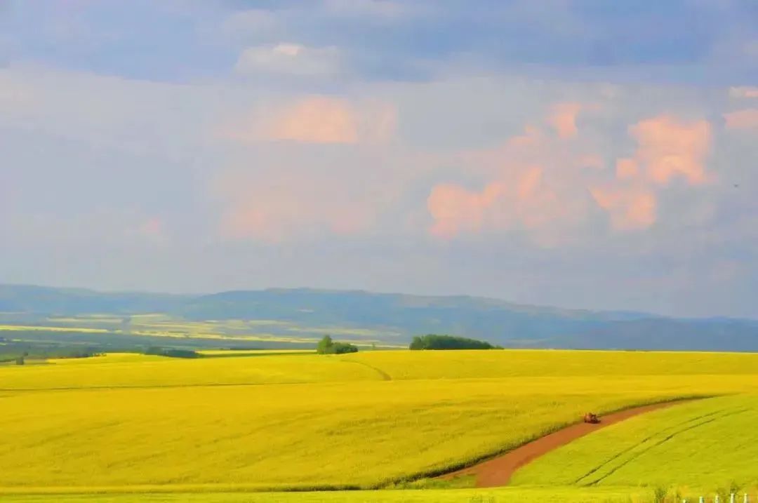 鍐呰挋鍙ゅ宸磋兒椋庢牸琛ｆ湇,澶氬反瀹夌┛鎼唴钂欏彜