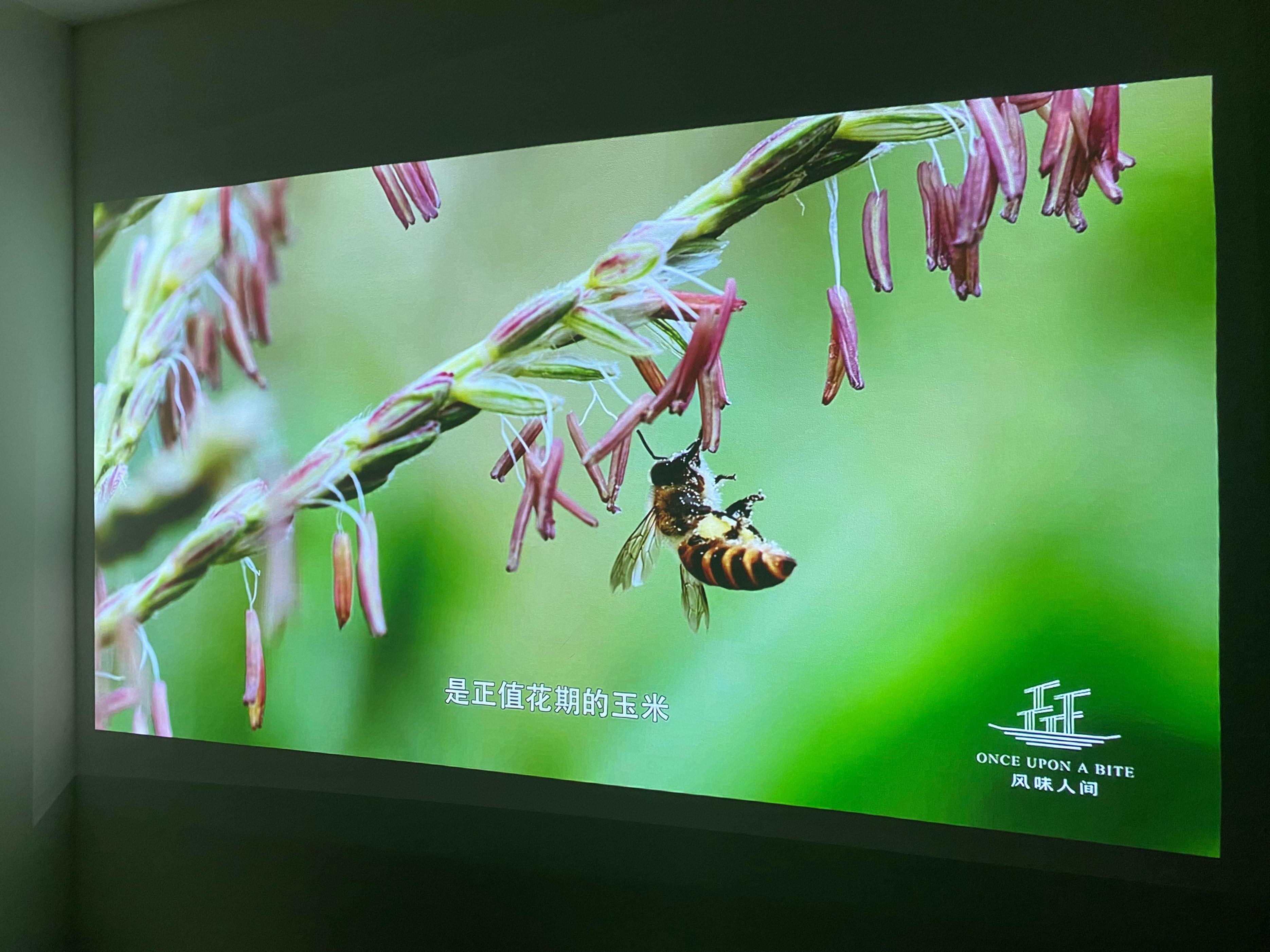 aoct30超短焦投影仪测评,aoct30激光投影怎么样