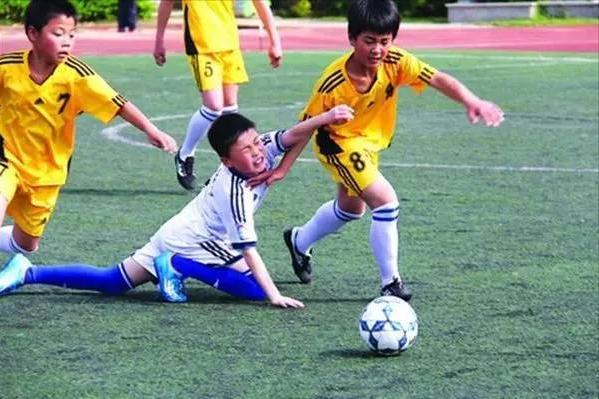 校园伤害典型案例,校园伤害事件案例及案例分析