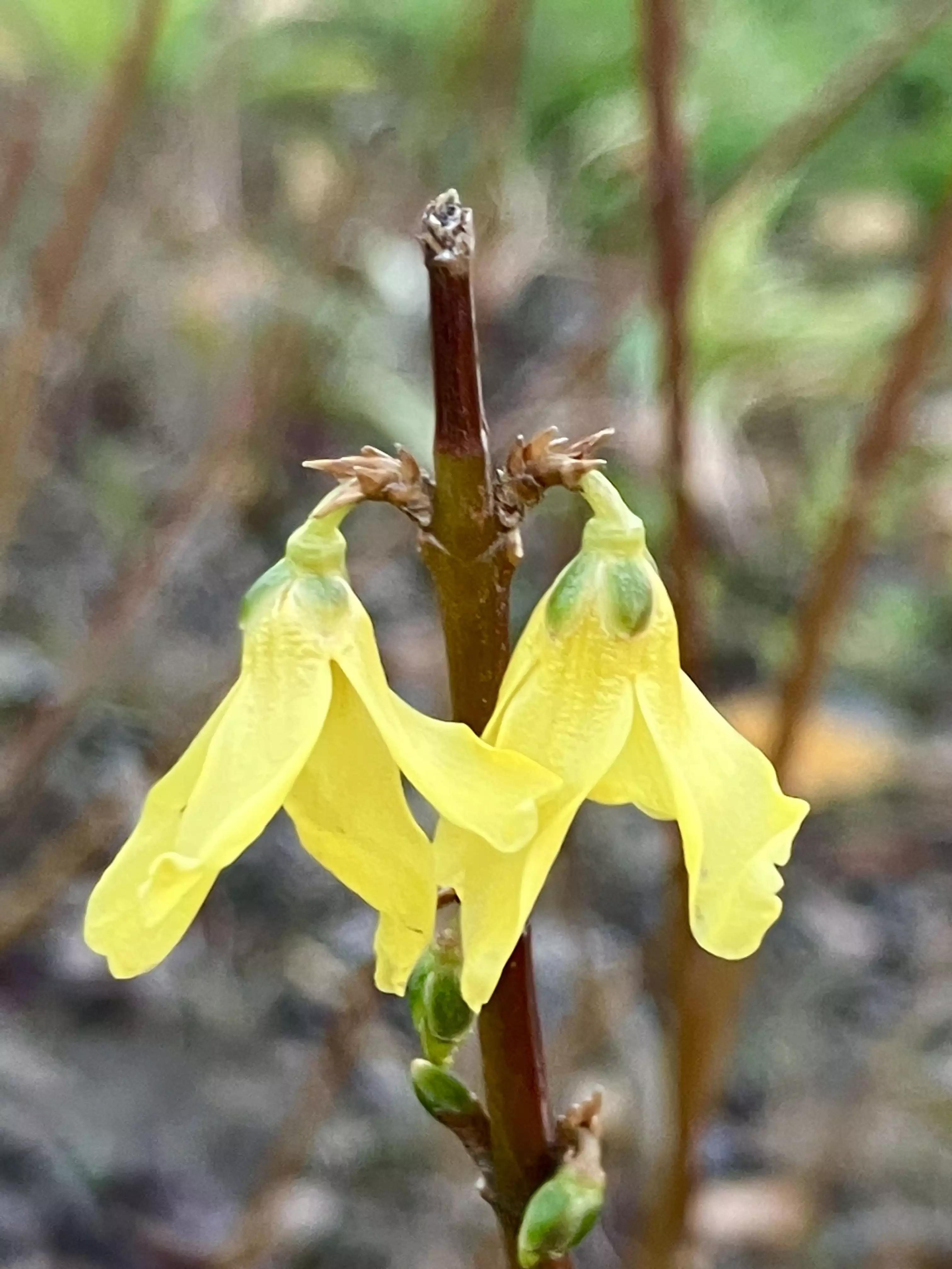 岁月斑驳留下来的都是静好时光,岁月斑驳愿时光静好