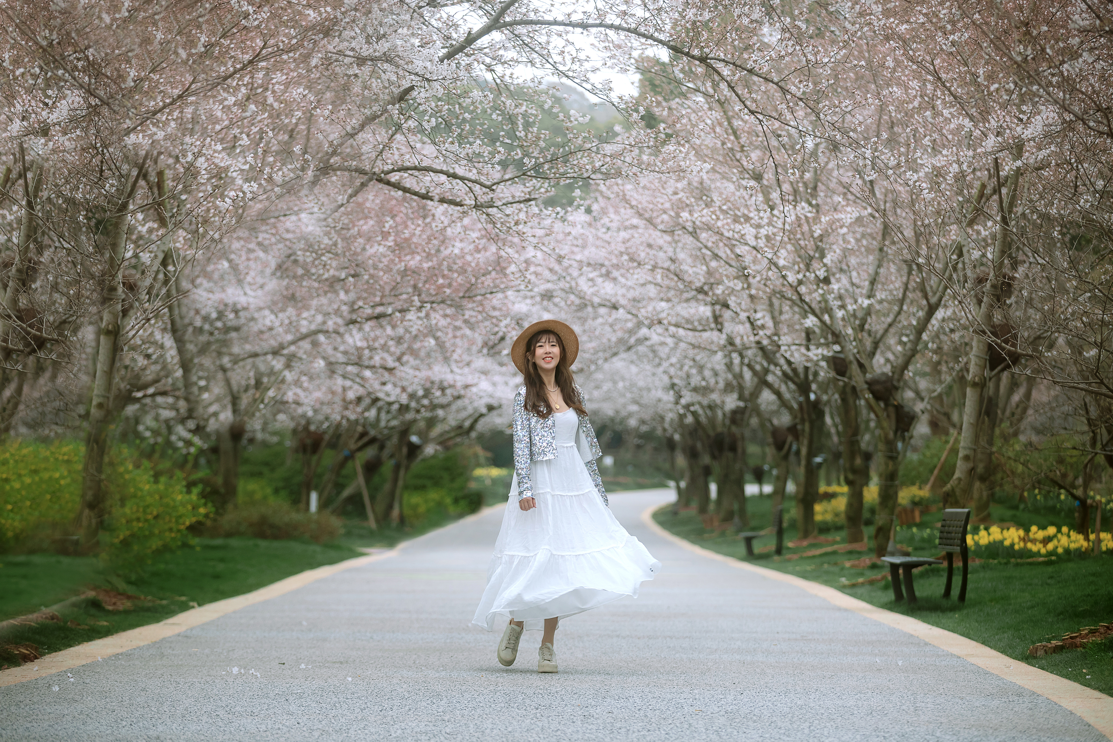鼋头渚樱花盛宴比日本更令人沉醉,太湖鼋头渚樱花美如画