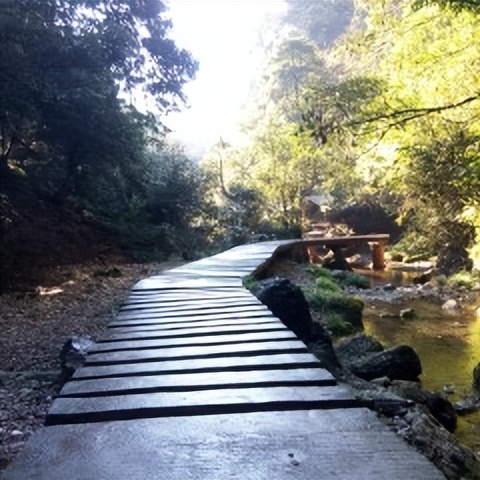 青城后山白云索道上山大概几分钟,青城后山游玩攻略大全