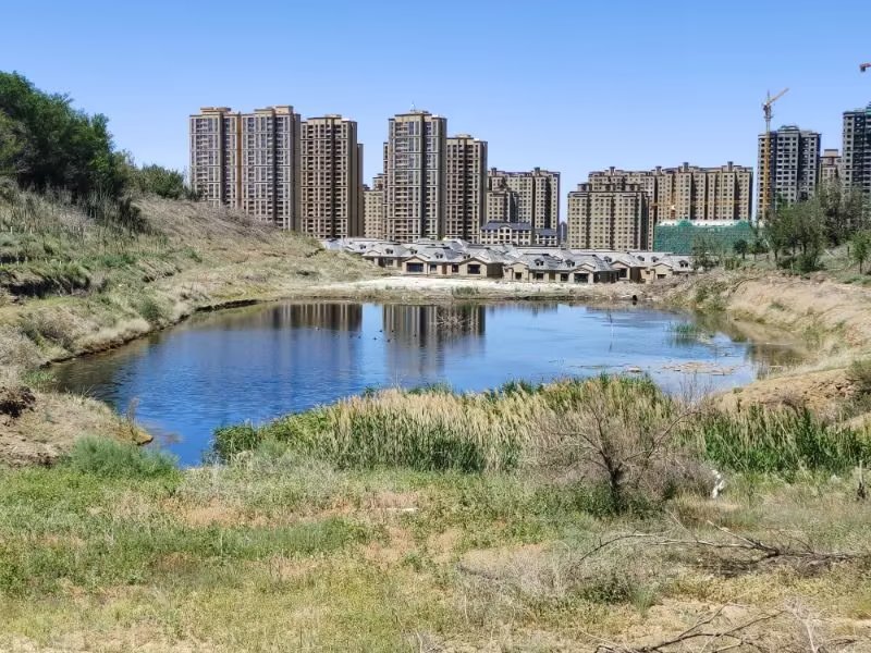 近山近水的意思,近山近水近自然