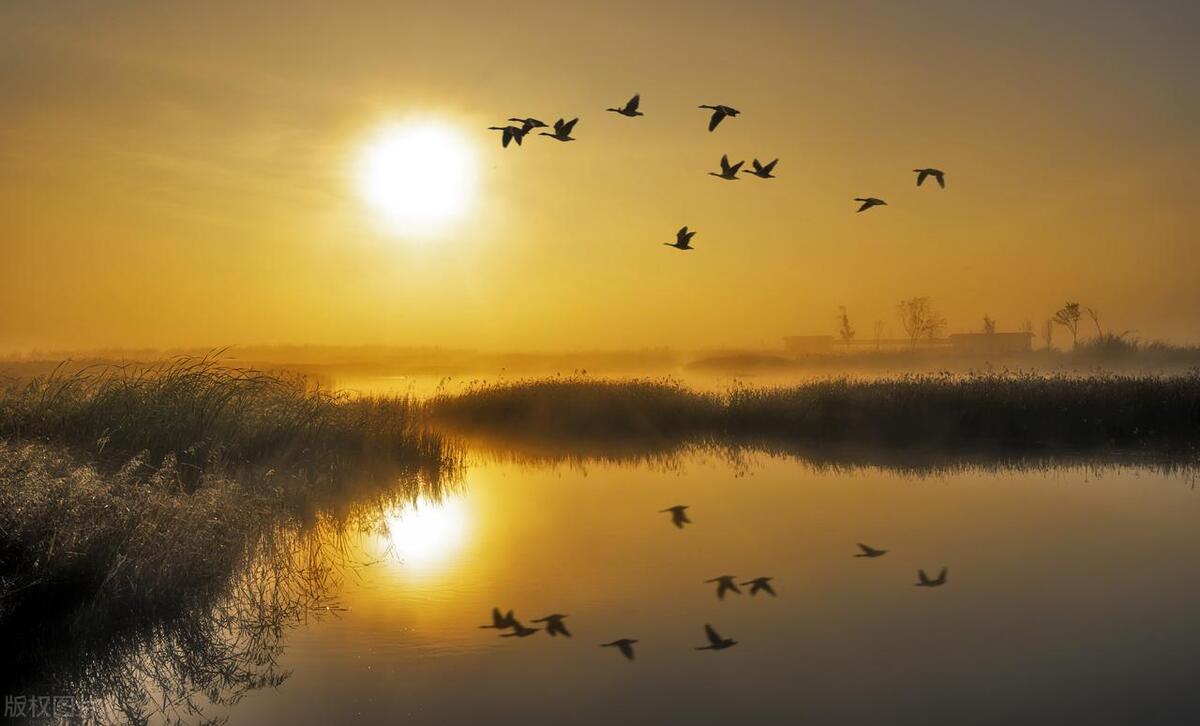 股票财务分析现金流量表,经营活动产生的现金流量净额解析