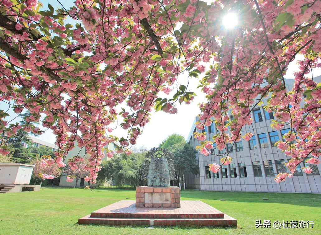 西安有什么好看的樱花景点,西安樱花最佳观赏地点