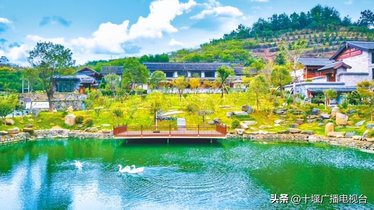 养心养生生态游,修心养性逍遥游