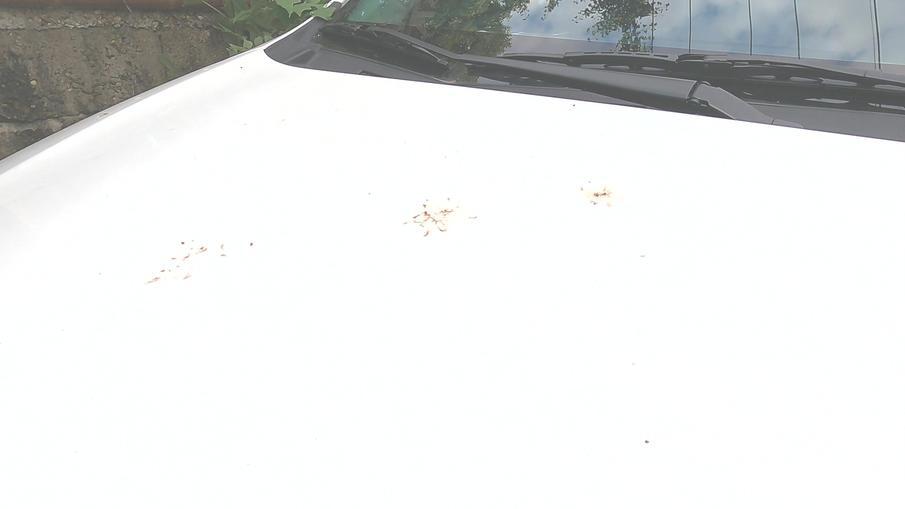 买一年的车车漆就老化,喵哥说车车漆修复