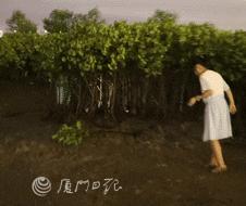 赶海圣地厦门,厦门周边赶海的最佳地点