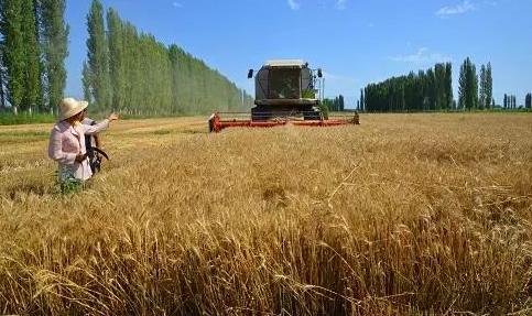 农业扶贫的正确方式,农业技术方面对扶贫的帮助