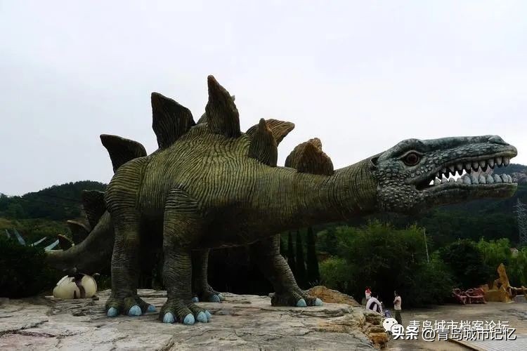 消失的青岛雨林谷,还记得可爱的小老虎吗?