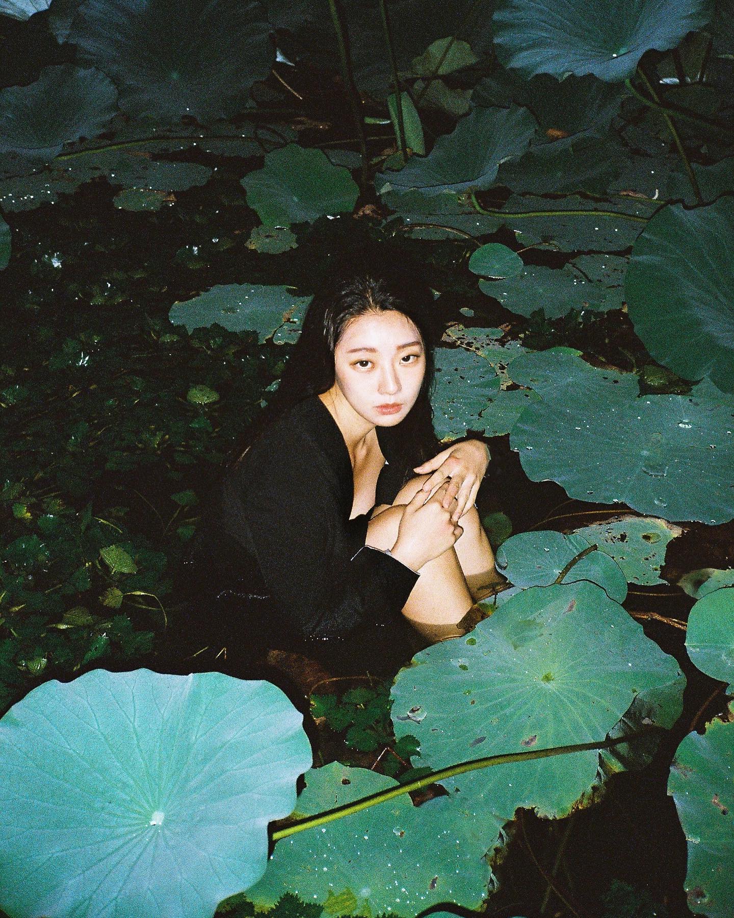 摄影师荷花写真,荷花人像写真修图