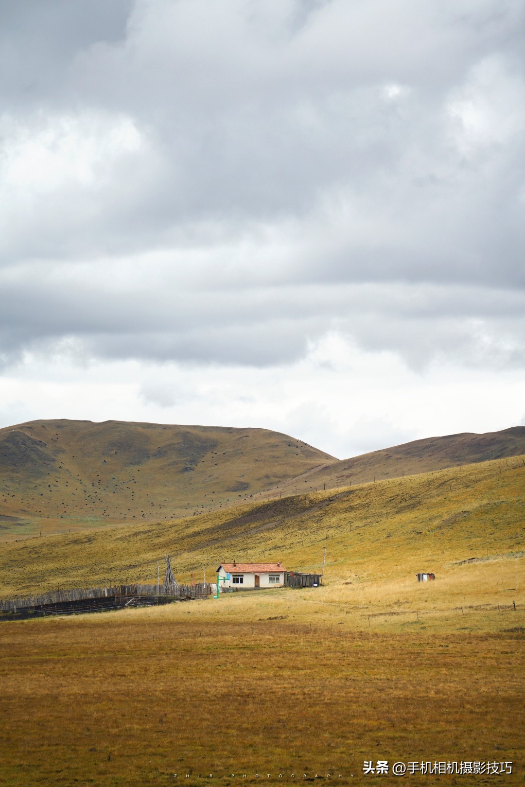 最有违和感的照片,盘点那些毫无违和感的图片