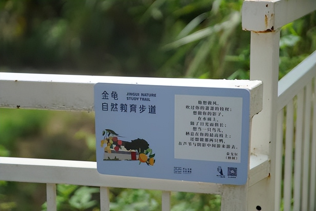 坪山金龟生态艺术小镇,坪山全域自然博物步道