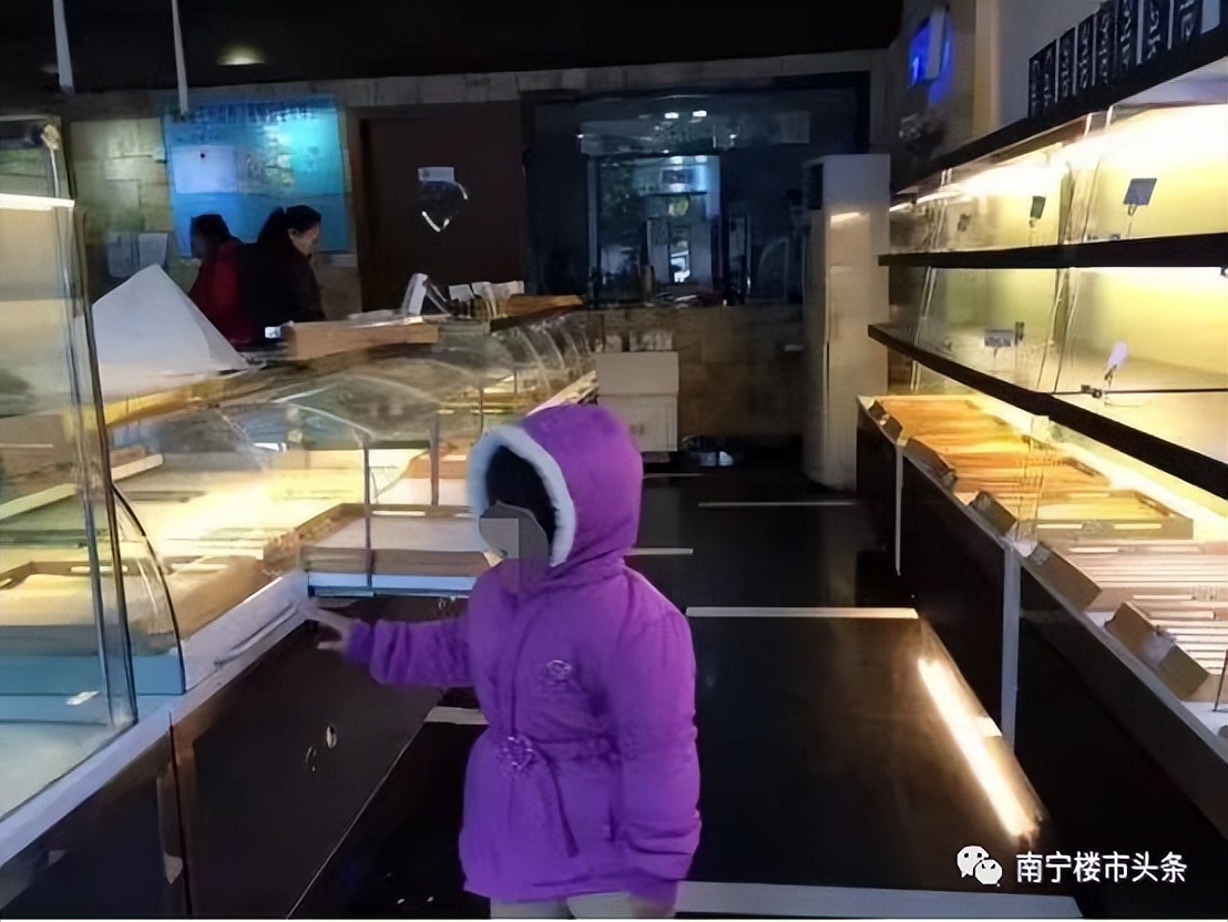 鍋ヨ韩浼氭墍鍊掗棴浜哄幓妤肩┖,鍩硅鏈烘瀯鍊掗棴鎼蛋浜哄幓妤肩┖