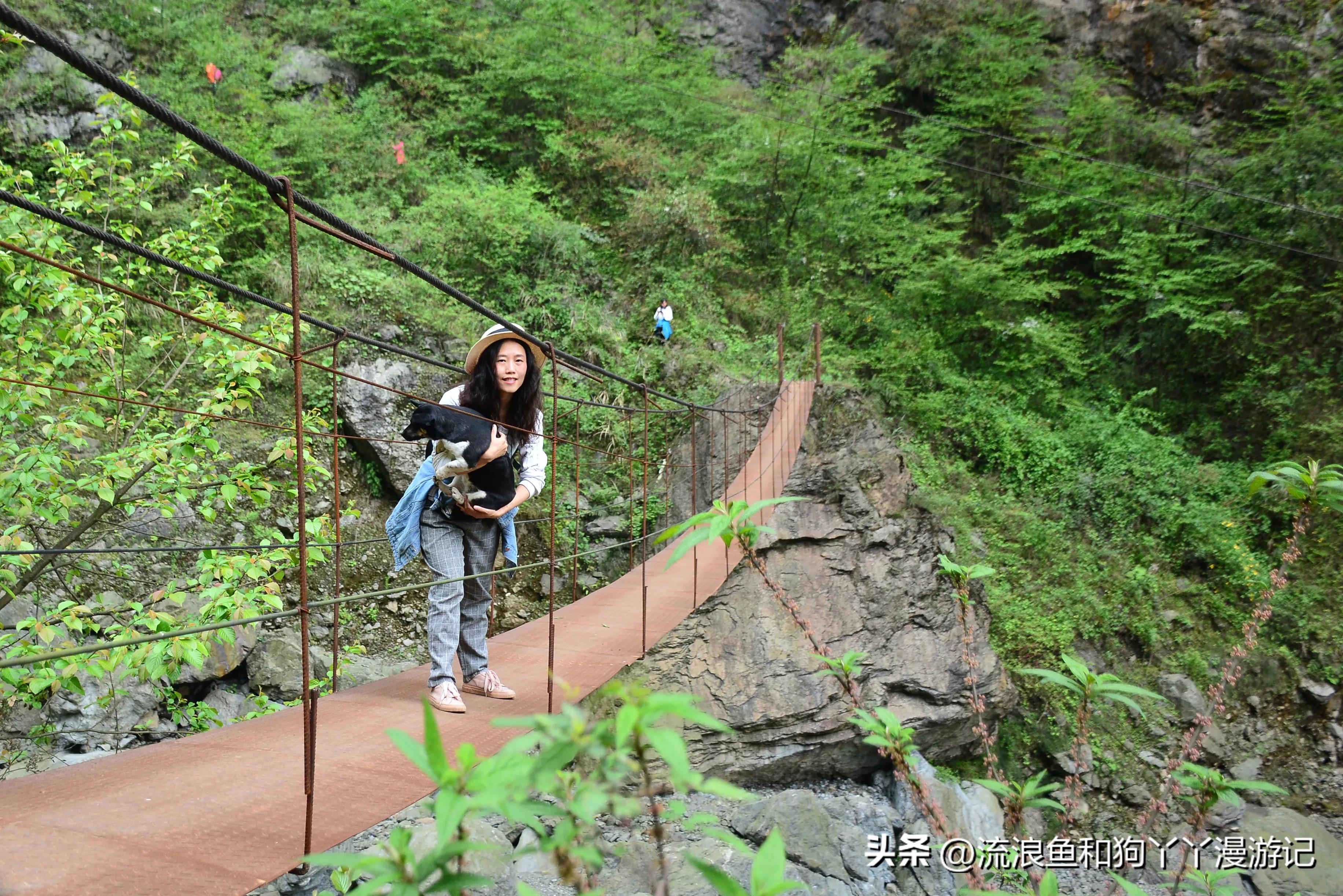 四月份成都近郊一日游好去处,2022成都近郊看雪一日游最佳去处