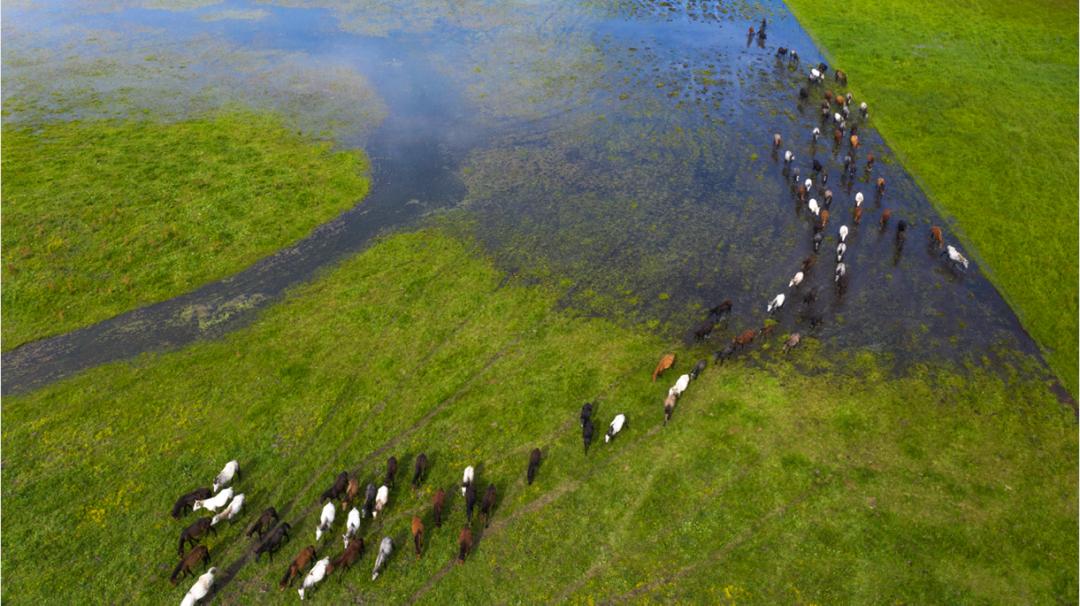 诗与远方美景,诗与远方四川