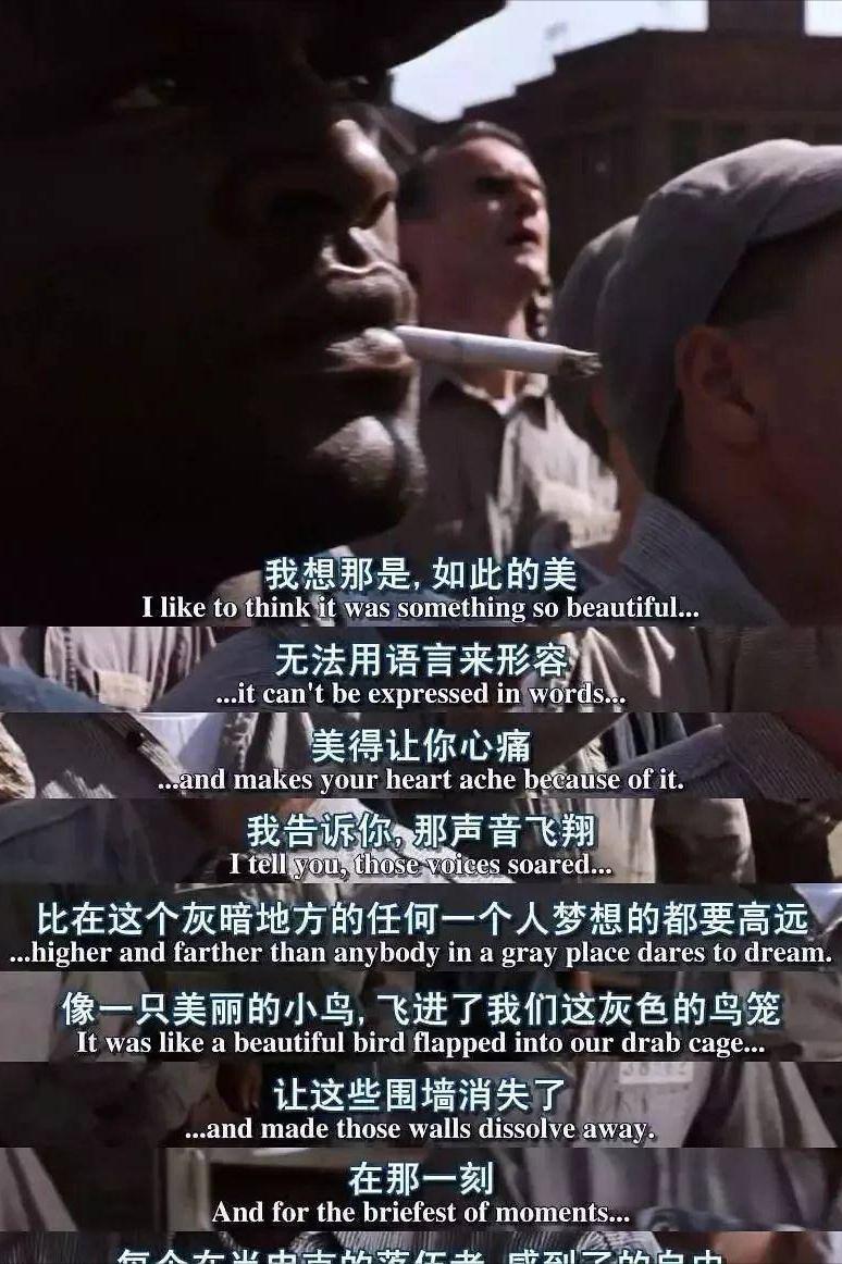 大中华百合影片公司成立后，重视影片的宣传，以及电影文化的传播