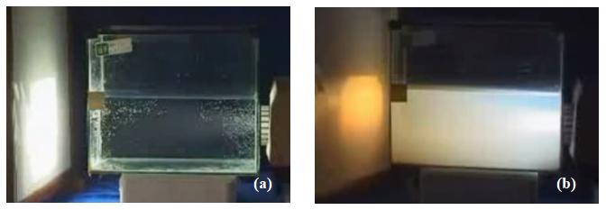 沙尘暴跟太阳有关系吗,为什么沙尘暴太阳是蓝色的