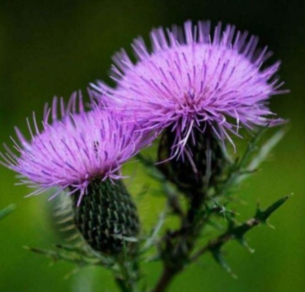 母亲结婚后几乎每天都做就是拤碓推磨