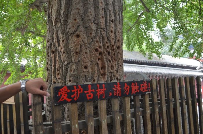 展示时间视频素材,展示时间的照片